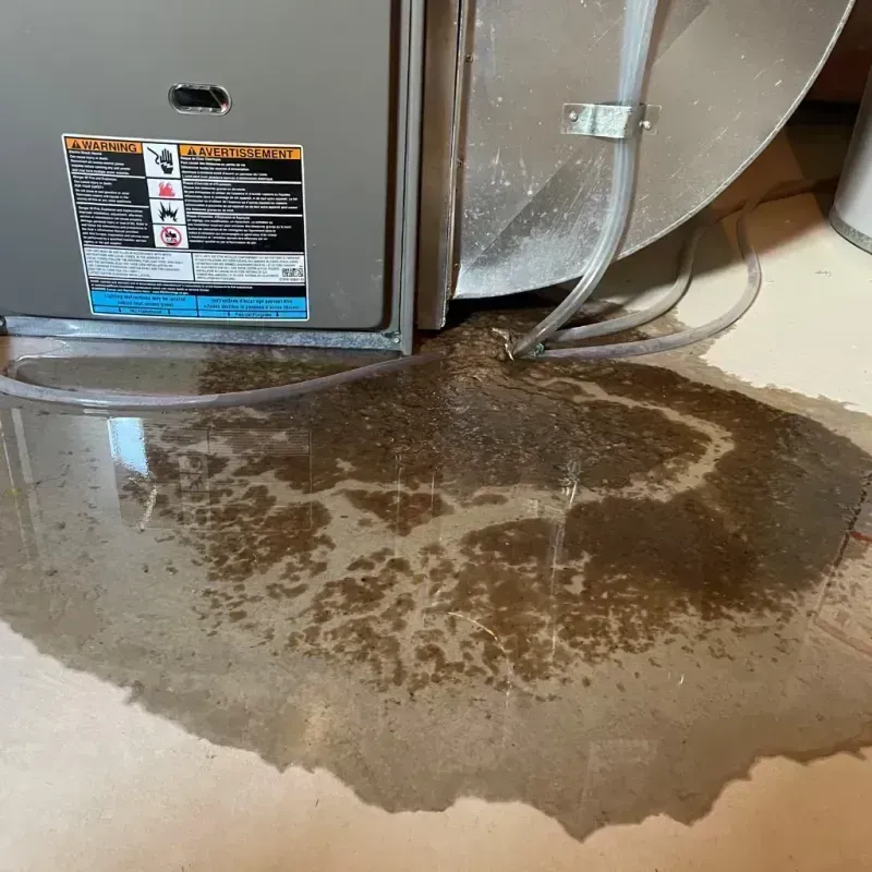 Appliance Leak Cleanup in Dumas, TX